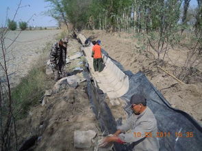 農八師一四八團加大農田水利基礎設施建設，夯實農業發展根基