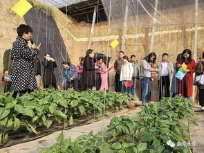 品味山東2018全國融媒體曲阜行 百譽農業、金秋菊展與孔府家酒