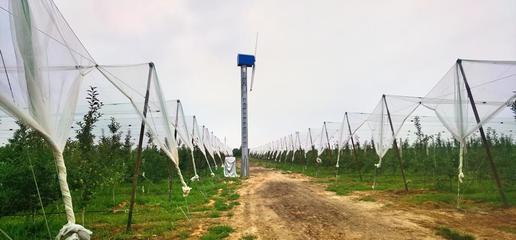 慶城縣 果園搭起“防護傘” 果農增收有保障